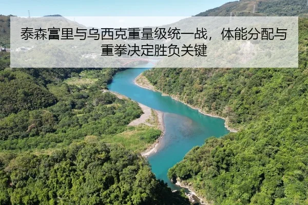 泰森富里与乌西克重量级统一战，体能分配与重拳决定胜负关键
