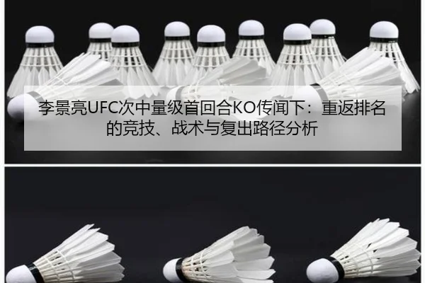 李景亮UFC次中量级首回合KO传闻下：重返排名的竞技、战术与复出路径分析