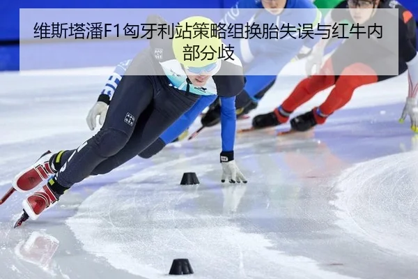 维斯塔潘F1匈牙利站策略组换胎失误与红牛内部分歧